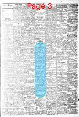 Page thumbnail for The Daily Dispatch