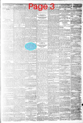 Page thumbnail for The Daily Dispatch