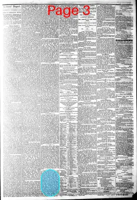 Page thumbnail for The Daily Dispatch