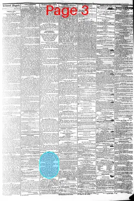 Page thumbnail for The Daily Dispatch