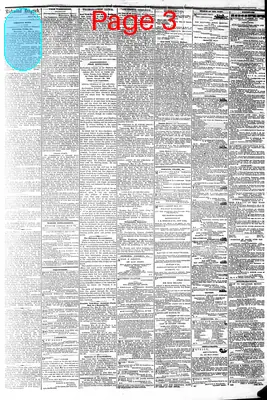 Page thumbnail for The Daily Dispatch