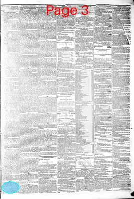 Page thumbnail for The Daily Dispatch