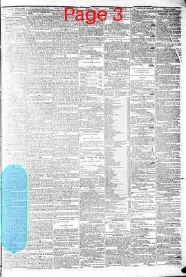 Page thumbnail for The Daily Dispatch