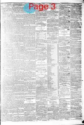 Page thumbnail for The Daily Dispatch