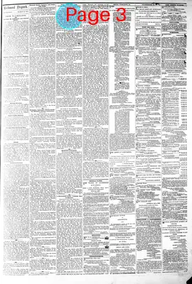 Page thumbnail for The Daily Dispatch