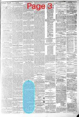 Page thumbnail for The Daily Dispatch