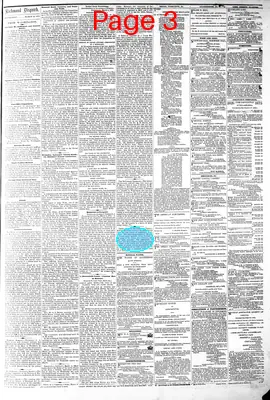 Page thumbnail for The Daily Dispatch