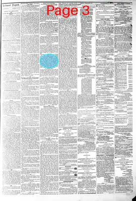 Page thumbnail for The Daily Dispatch