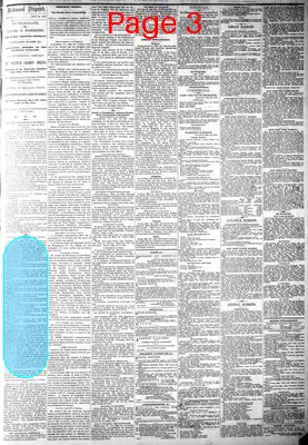 Page thumbnail for The Daily Dispatch