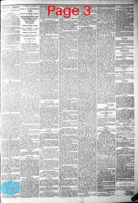 Page thumbnail for The Daily Dispatch