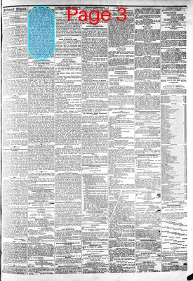 Page thumbnail for The Daily Dispatch