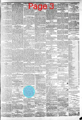 Page thumbnail for The Daily Dispatch