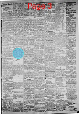 Page thumbnail for The Daily Dispatch