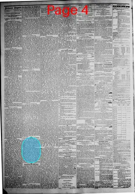 Page thumbnail for The Daily Dispatch