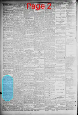 Page thumbnail for The Daily Dispatch