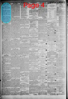 Page thumbnail for The Daily Dispatch