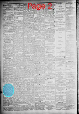 Page thumbnail for The Daily Dispatch