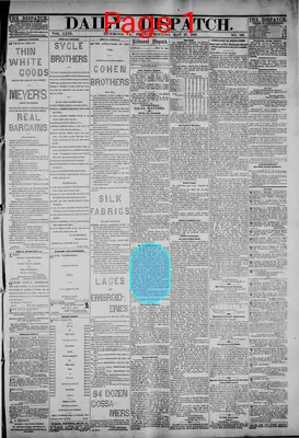 Page thumbnail for The Daily Dispatch