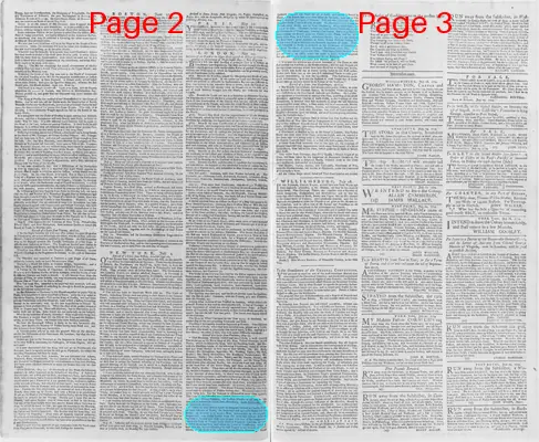Page thumbnail for The Virginia Gazette