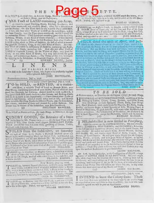 Page thumbnail for The Virginia Gazette