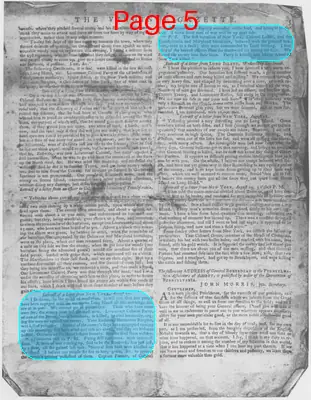 Page thumbnail for The Virginia Gazette
