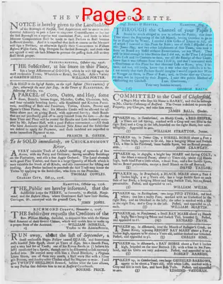 Page thumbnail for The Virginia Gazette