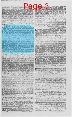 Page thumbnail for The Virginia Gazette