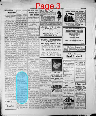 Page thumbnail for Bisbee Daily Review