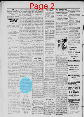 Page thumbnail for The Wisconsin Weekly Blade