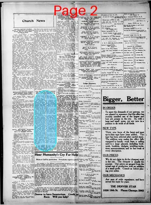 Page thumbnail for The Denver Star
