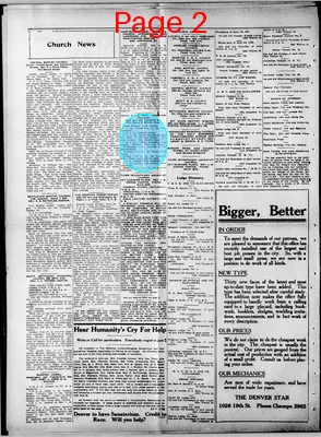 Page thumbnail for The Denver Star