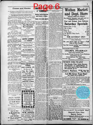 Page thumbnail for The Denver Star