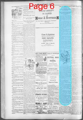 Page thumbnail for The Washington Bee