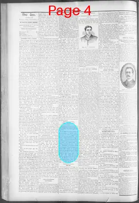 Page thumbnail for The Washington Bee