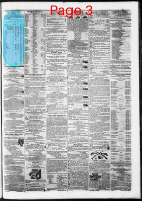 Page thumbnail for New Orleans Daily Creole