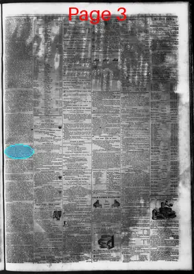 Page thumbnail for New Orleans Daily Creole
