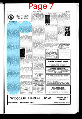 Page thumbnail for The Saint Paul Sun