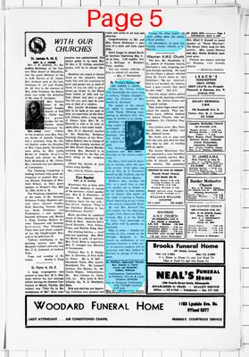 Page thumbnail for The Saint Paul Sun