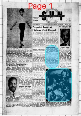 Page thumbnail for The Saint Paul Sun