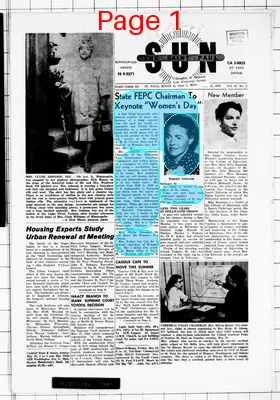 Page thumbnail for The Saint Paul Sun