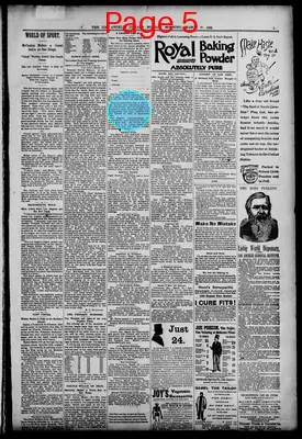 Page thumbnail for Los Angeles Herald