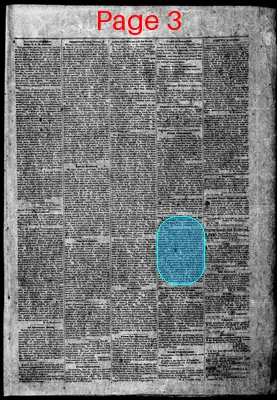 Page thumbnail for The Abingdon Virginian
