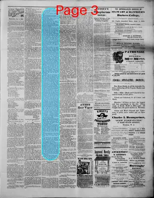 Page thumbnail for The Lambertville Record