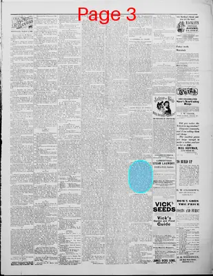Page thumbnail for The Lambertville Record
