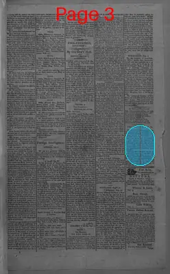 Page thumbnail for Gazette Of The United States And Daily Evening Advertiser