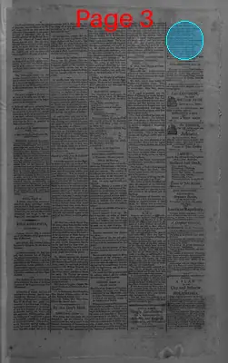 Page thumbnail for Gazette Of The United States And Daily Evening Advertiser