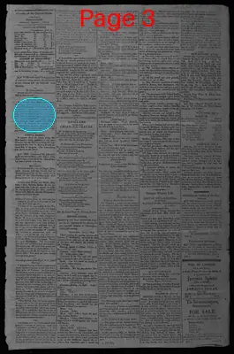 Page thumbnail for Gazette Of The United States, & Daily Advertiser