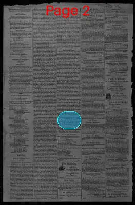 Page thumbnail for Gazette Of The United States, & Daily Advertiser