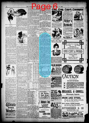 Page thumbnail for The Scranton Tribune