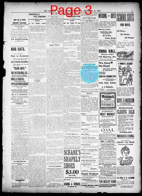 Page thumbnail for The Scranton Tribune